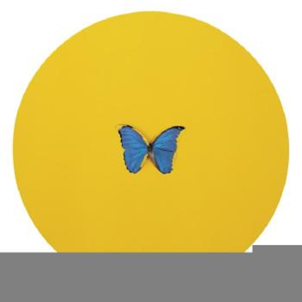 Pisces by Damien Hirst