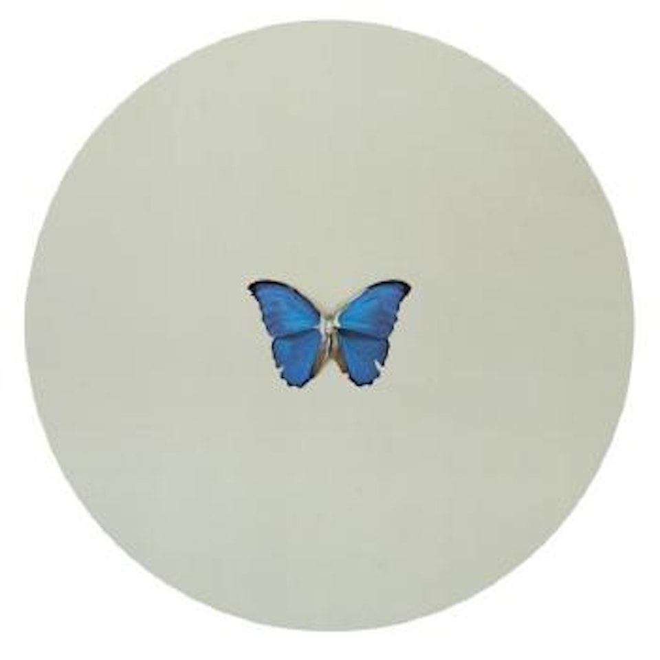 Scorpio by Damien Hirst