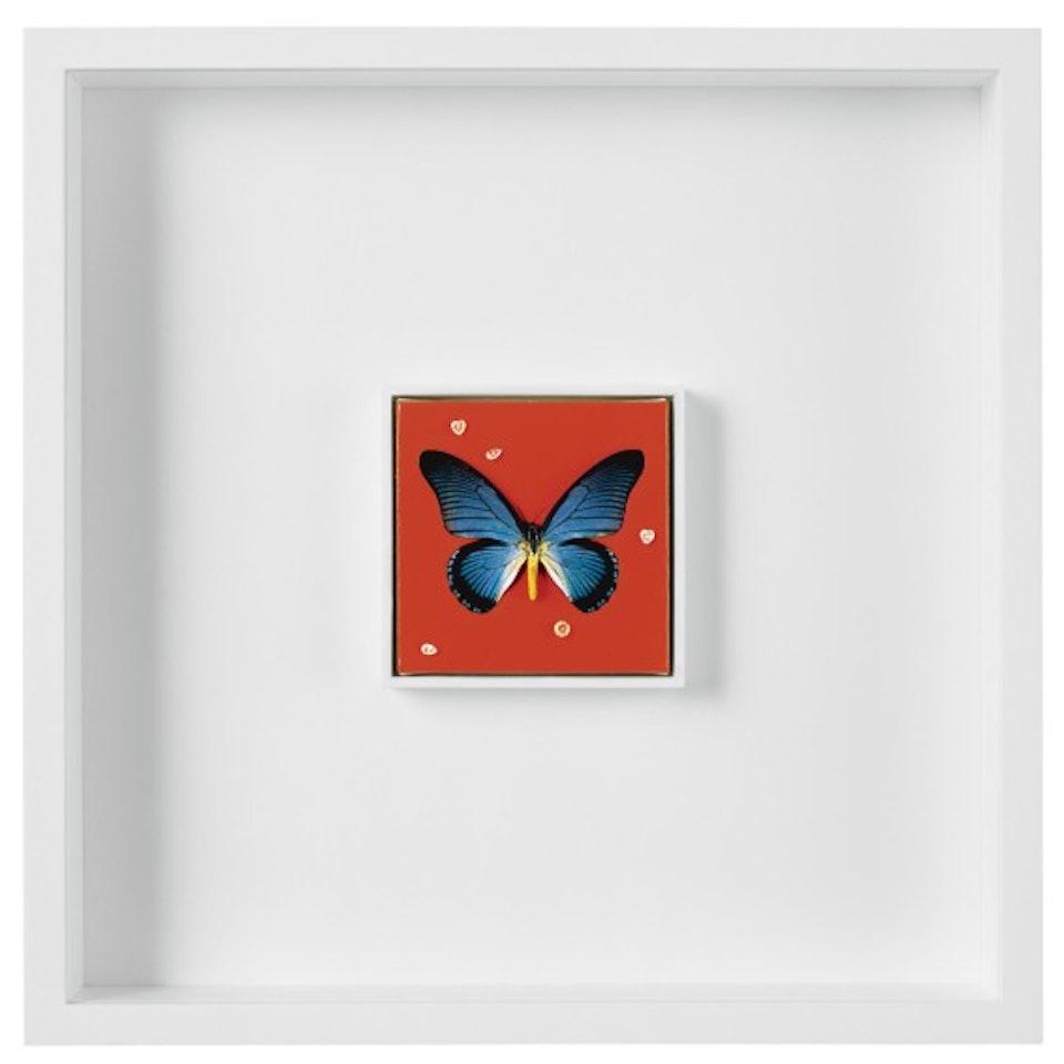 Warm Love by Damien Hirst