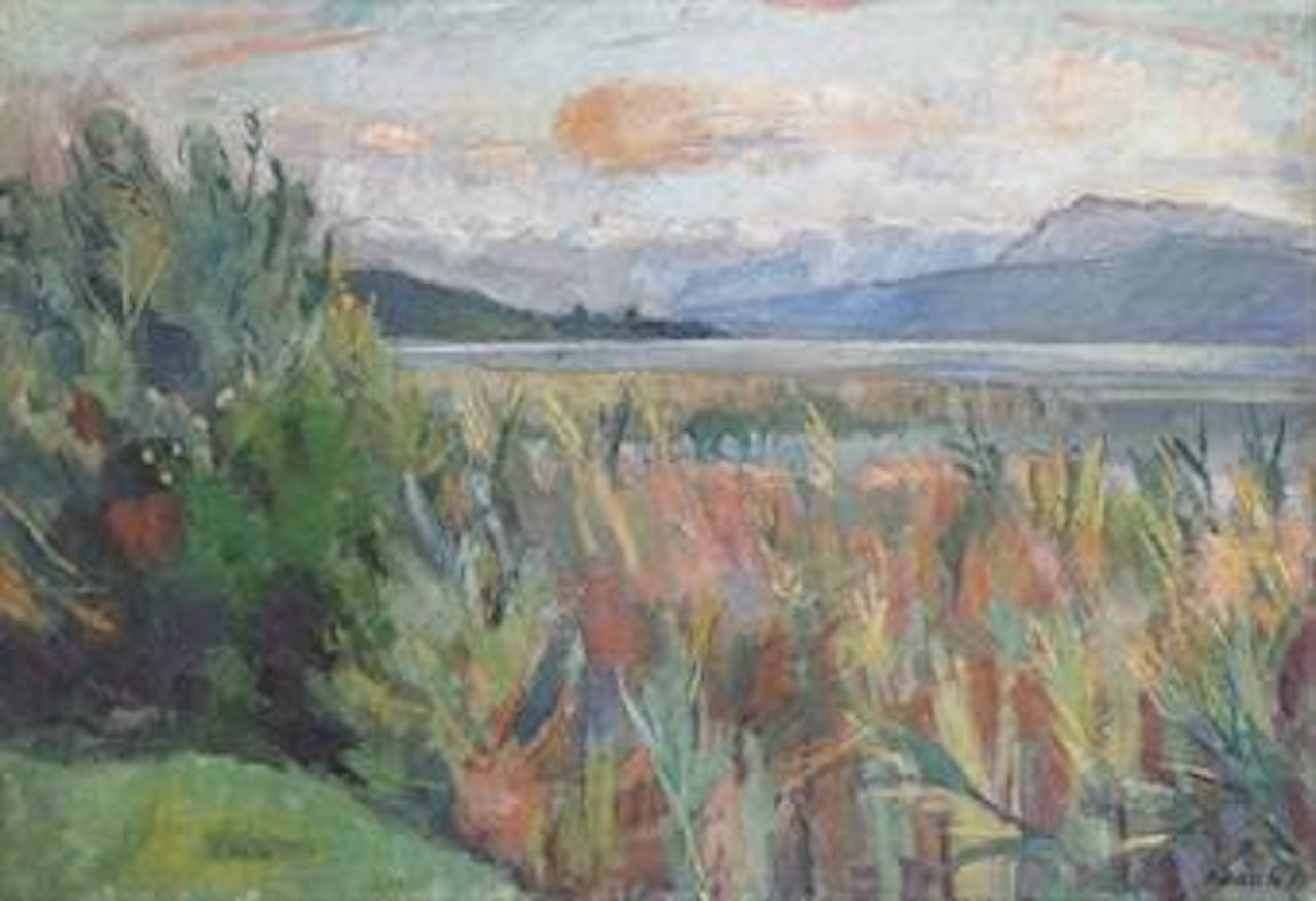 Genfersee by Paul Basilius Barth
