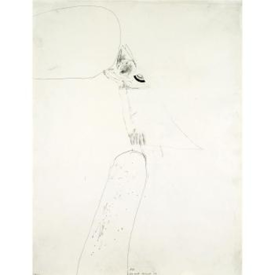 New York by David Hockney