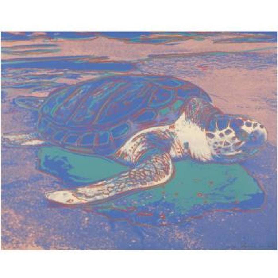 Turtle (F. & S. II.360a) by Andy Warhol