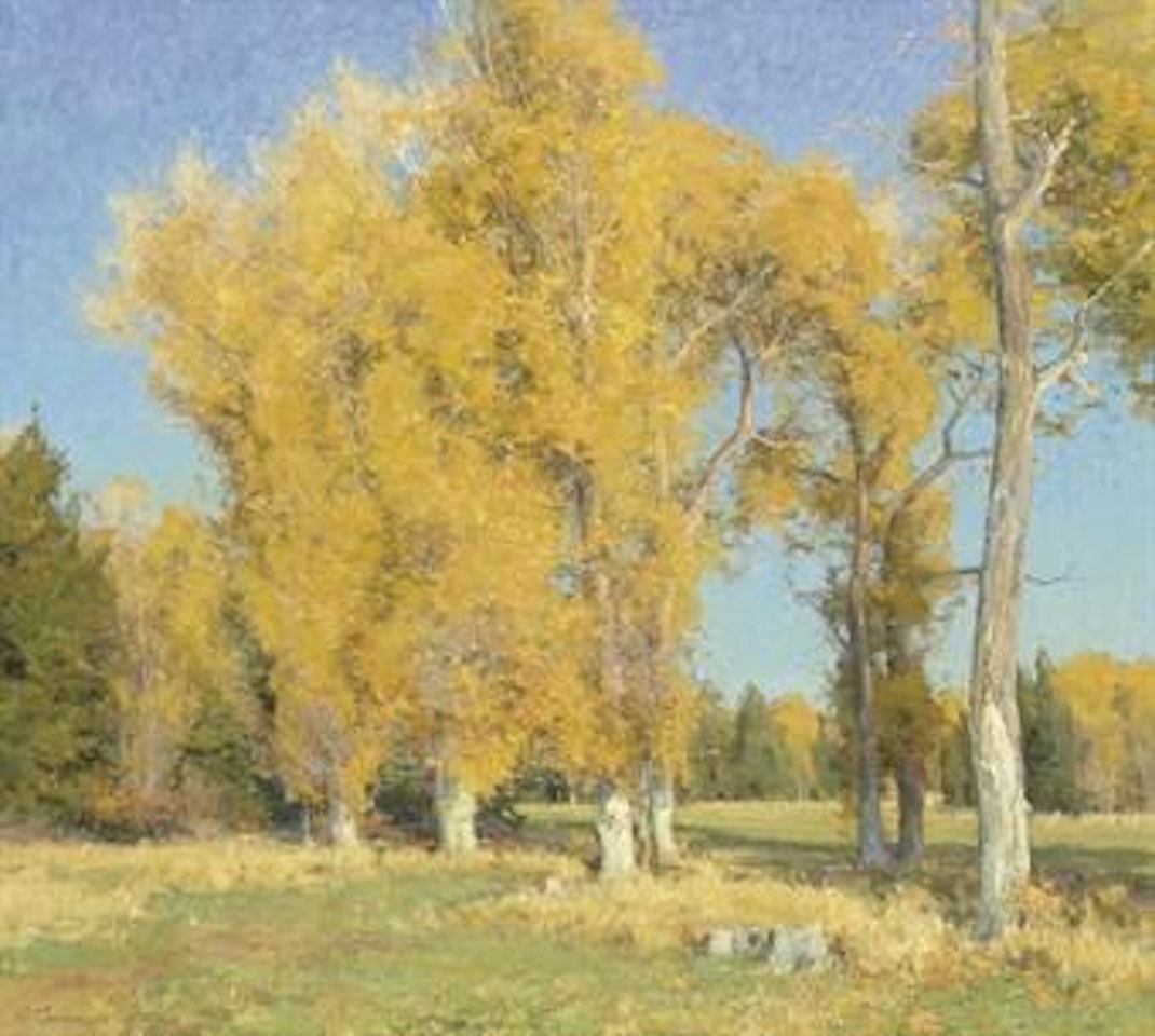 Fall Cottonwoods by Clyde Aspevig