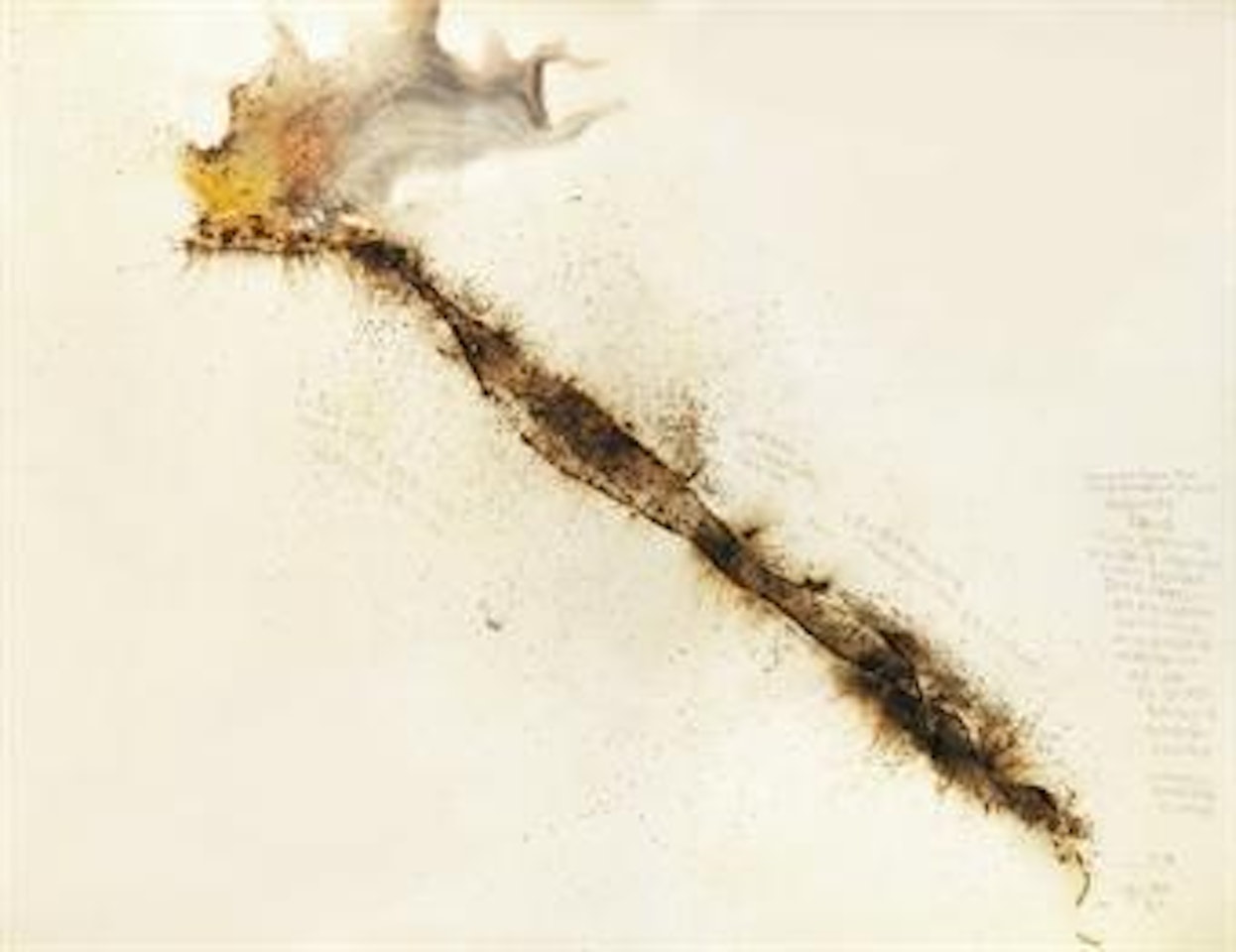 Sakurajima Volcano Time Space Reversion Project by Cai Guo-Qiang