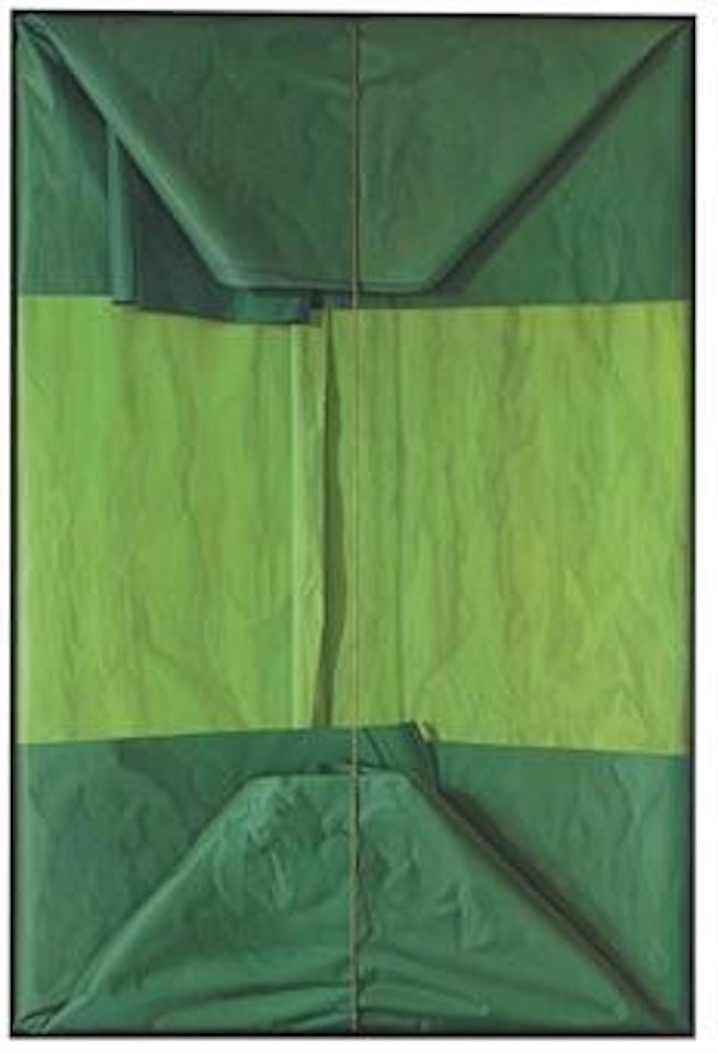 Paquete verde (Green Package) by Claudio Bravo