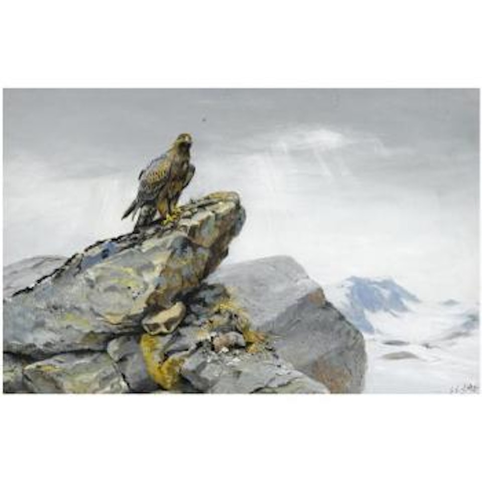 Golden Eagle; Driven Partridge by George Edward Lodge