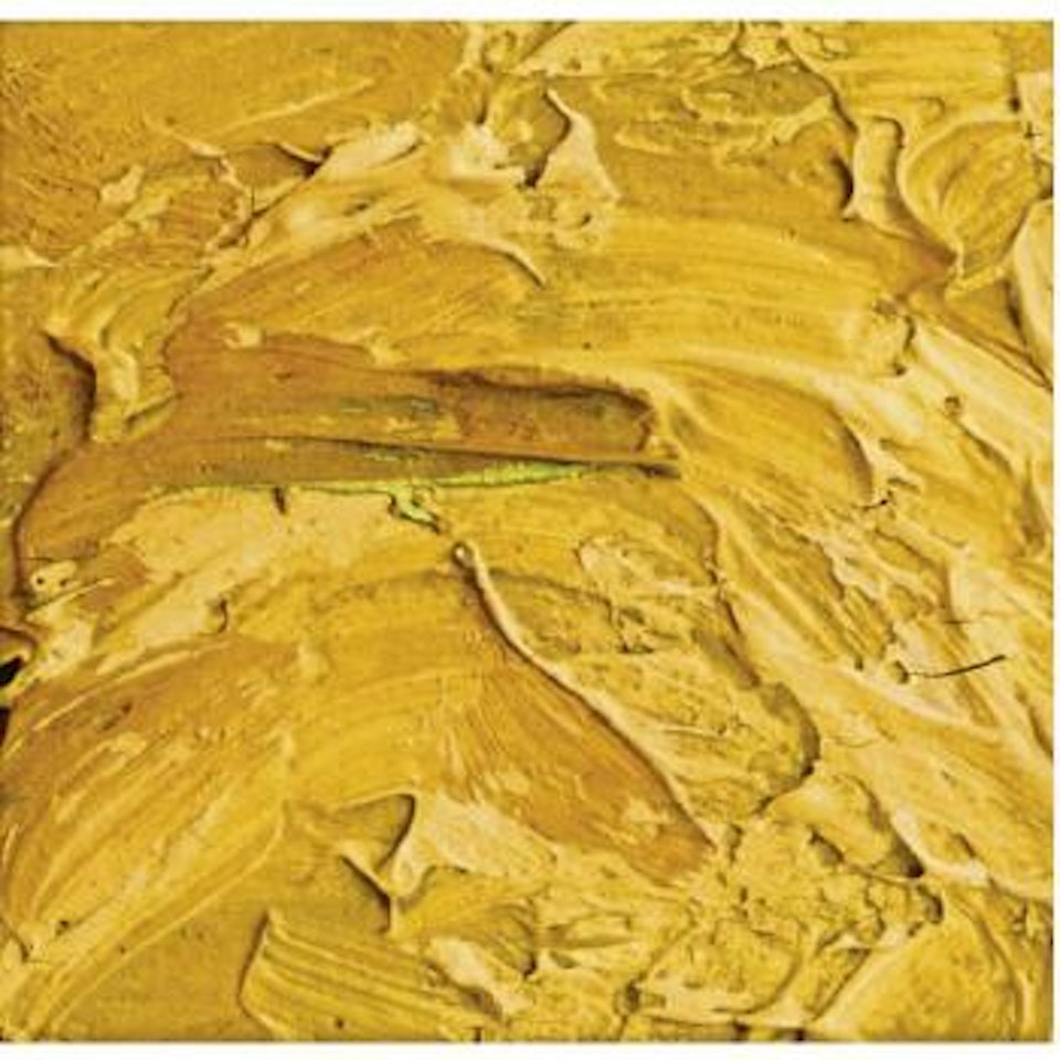 Untitled XIV 1999, (Detail) by Andreas Gursky
