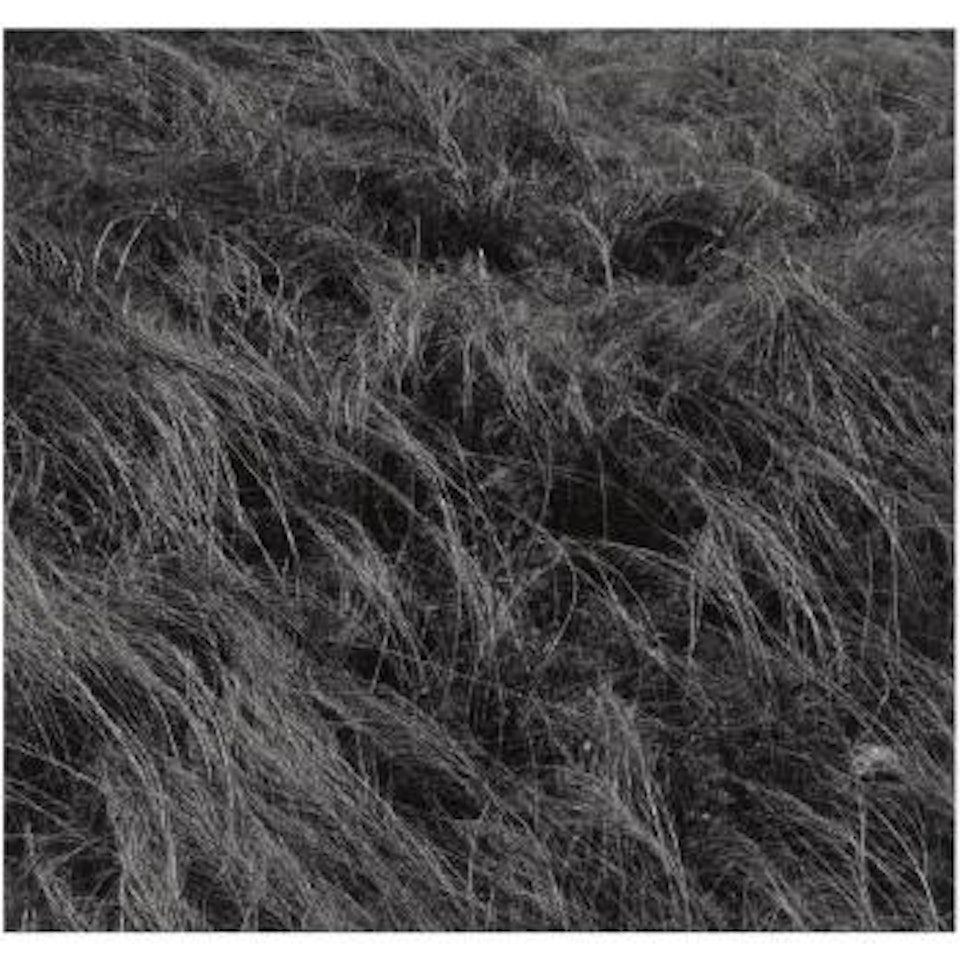 Aix-en-provence by Harry Callahan