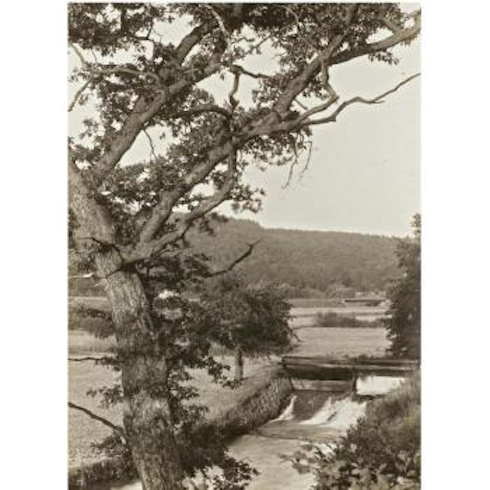 Landscape Study, Siebengebirge by August Sander