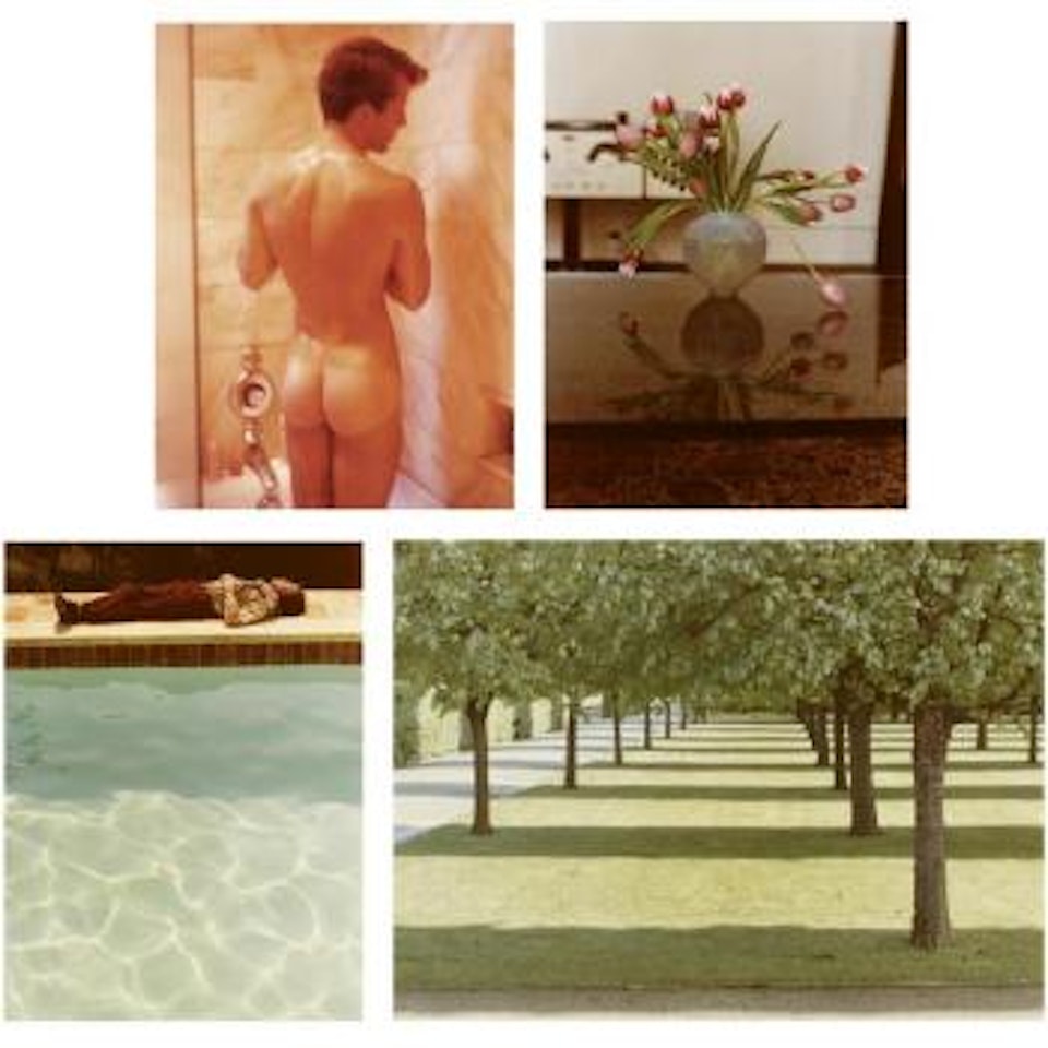 Twenty Photographic Pictures by David Hockney