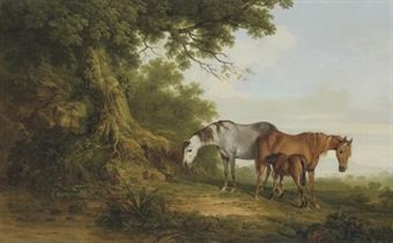 Mares and a foal in a wooded landscape by Thomas Roberts