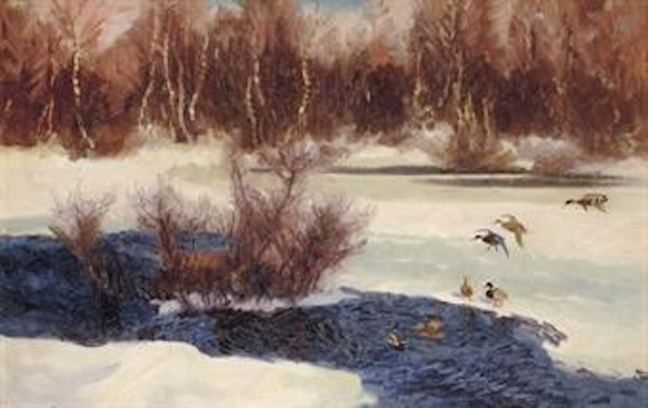Gräsänder vid fruset vattendrag (Wild Ducks by frozen water) by Bruno Liljefors