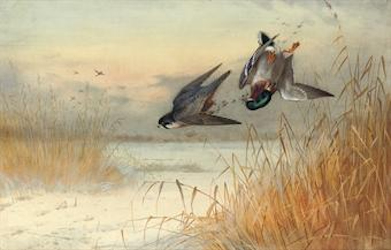 Killed as he reaches cover by Archibald Thorburn