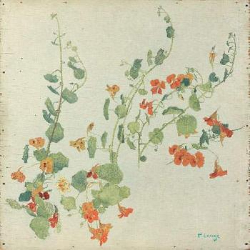 Les Capucines by Achille Laugé