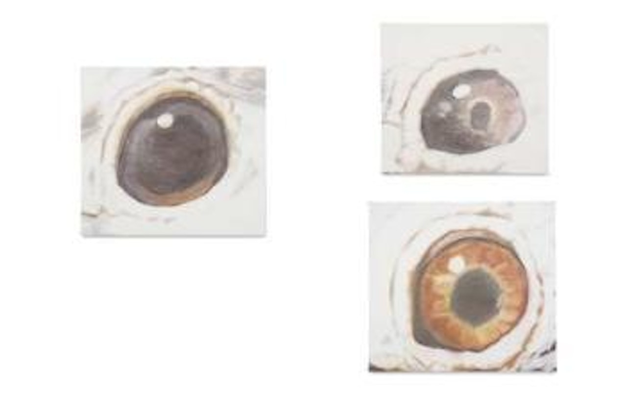 Eyes by Luc Tuymans