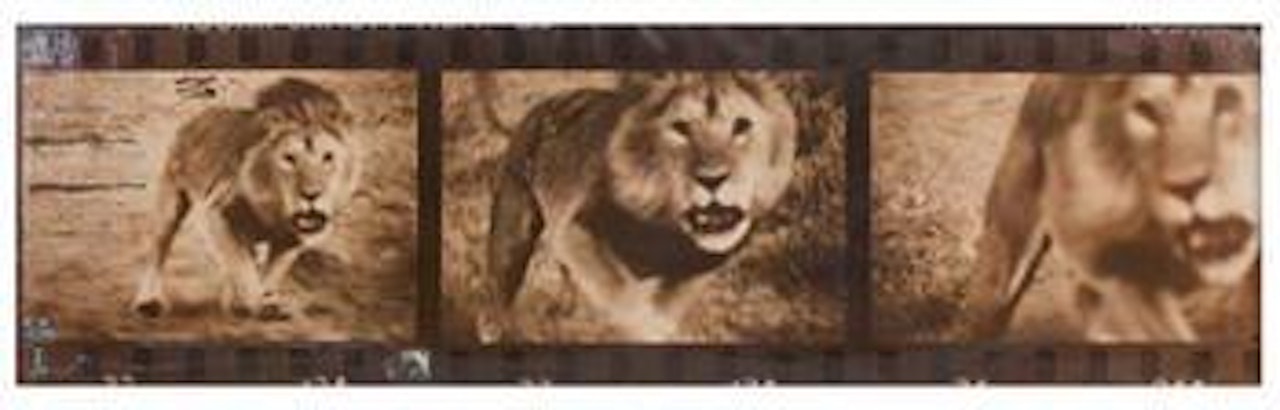 Lolindo Lion Charge by Peter Beard