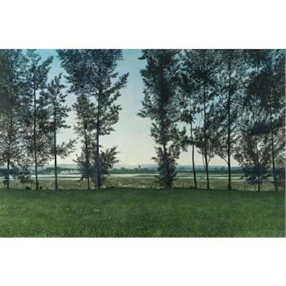 Cortina Rompevientos (Windbreak) by Tomas Sanchez