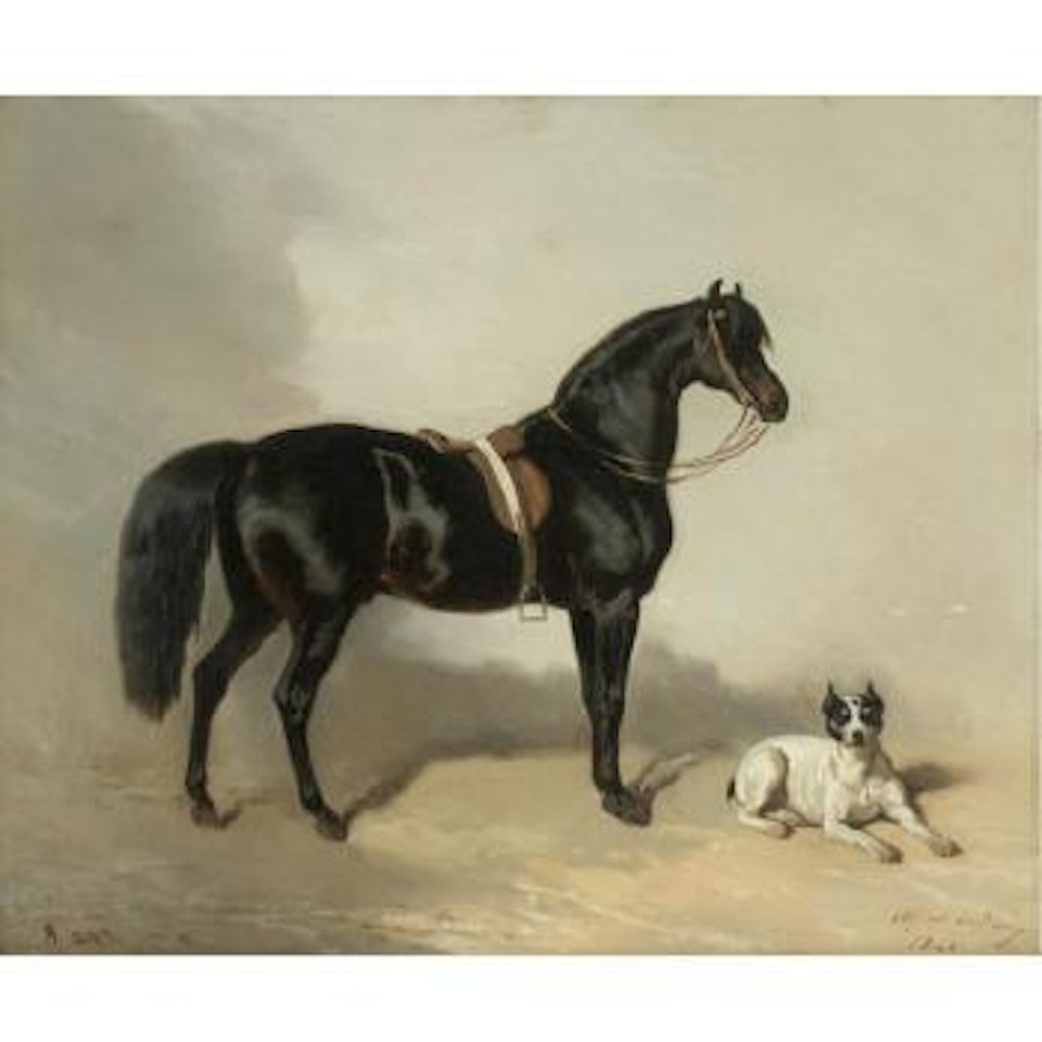 Un Cheval Arabe Et Bulldogue by Alfred de Dreux