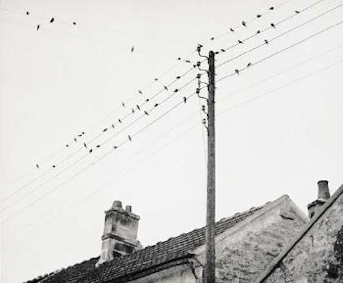 Untitled by André Kertész