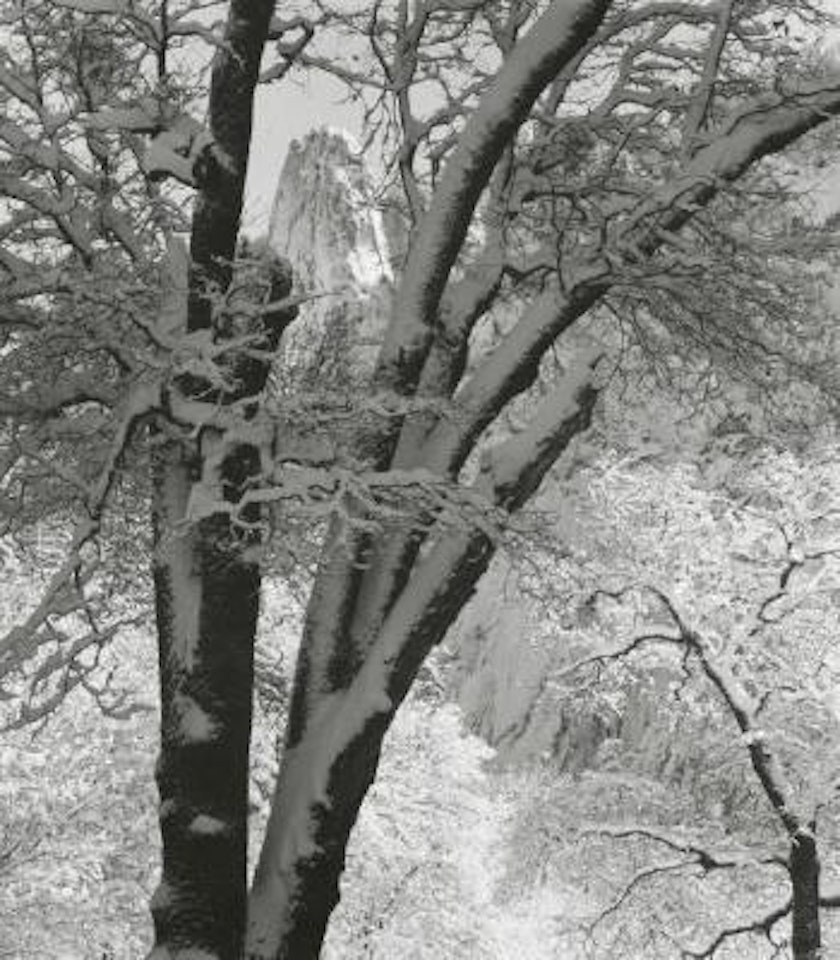 Sentinel Rock, Winter, Yosemite Valley, California by Ansel Adams
