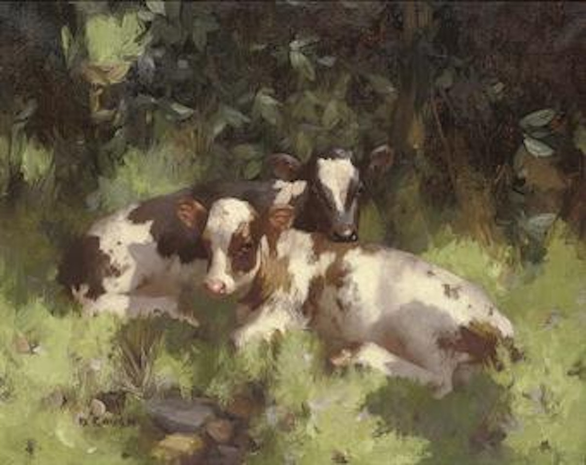 Calves resting by David Gauld