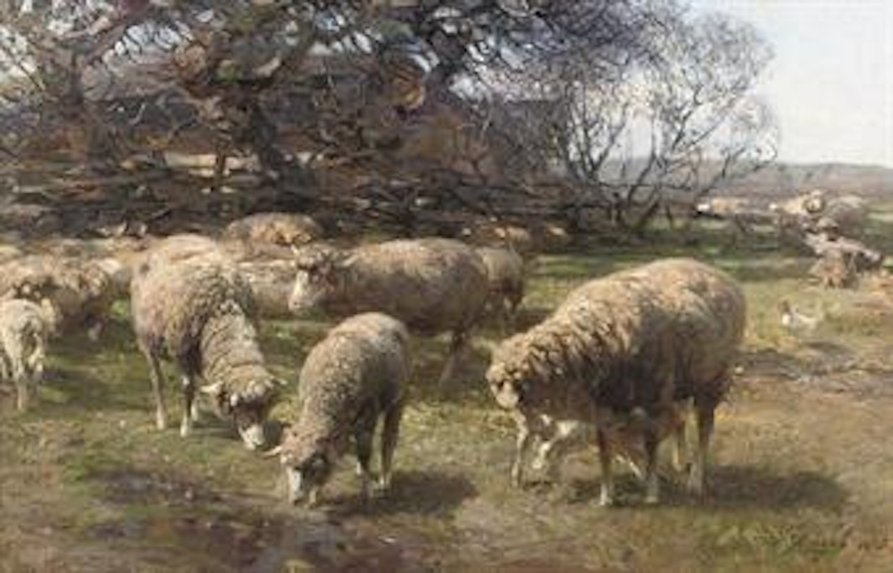 Sonniger Märzmorgen: sheep grazing near a farm by Heinrich von Zugel