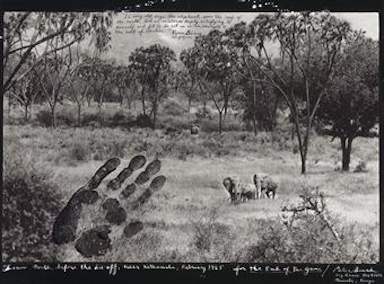 Tsavo North before the die-off, near Kathamula, February 1965 by Peter Beard