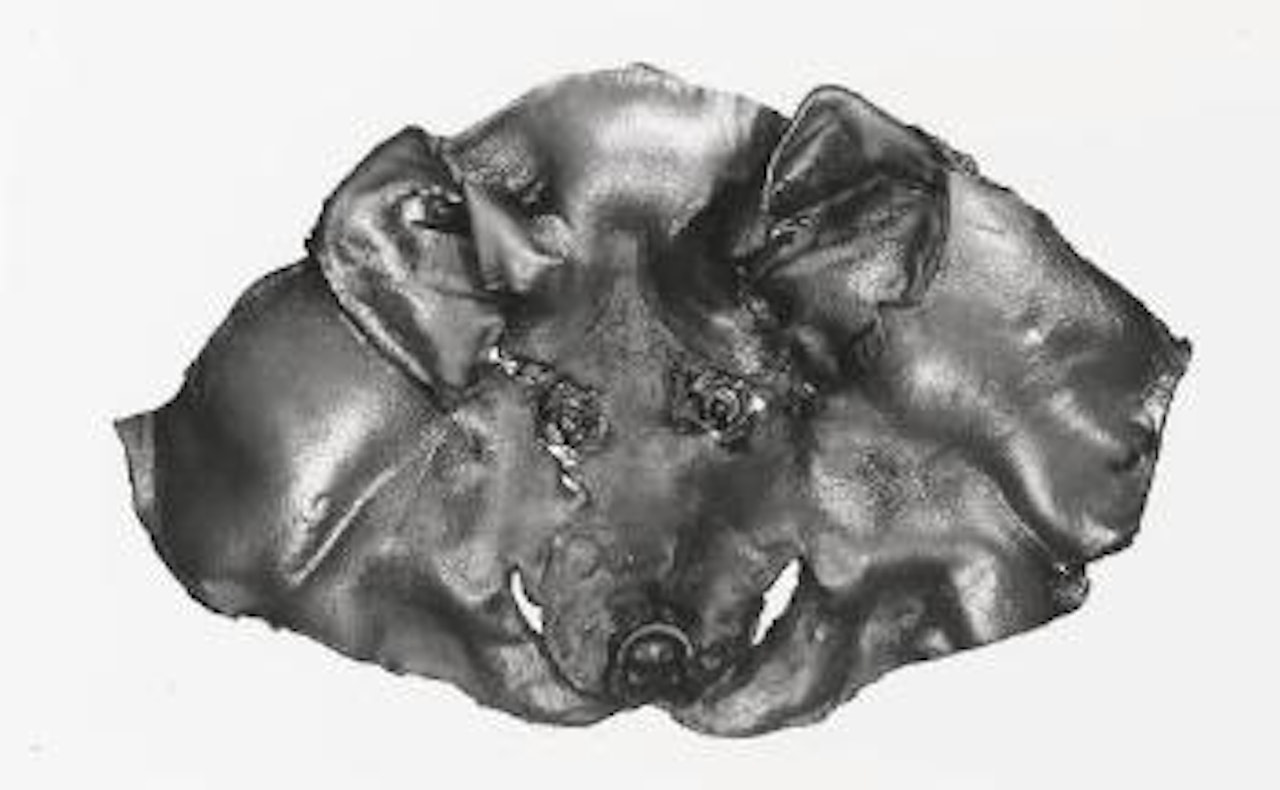 Pig Face, New York, September 11, 1996 by Irving Penn