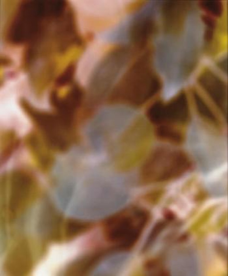 IBL 1 by James Welling