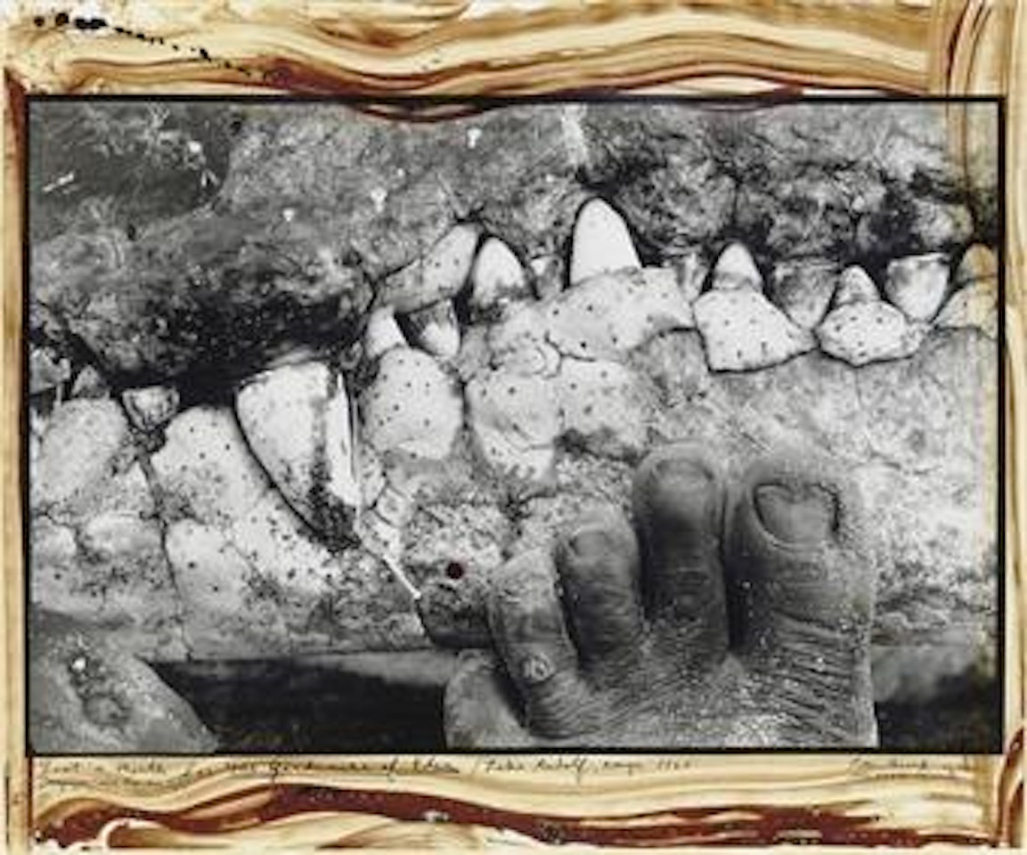 Foot'n Mouth, Lake Rudolf, Kenya by Peter Beard