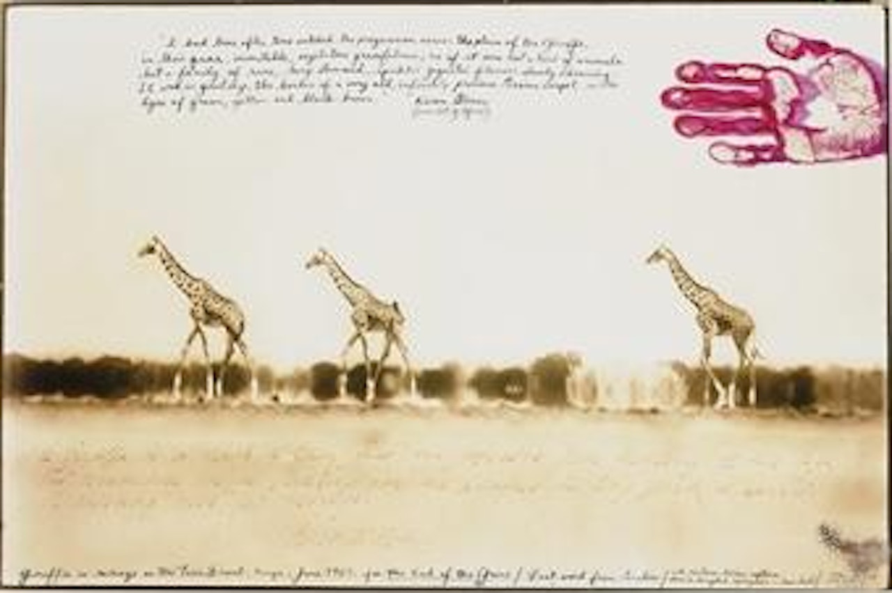 Giraffes in Mirage on the Taru Desert, Kenya, June 1960 by Peter Beard