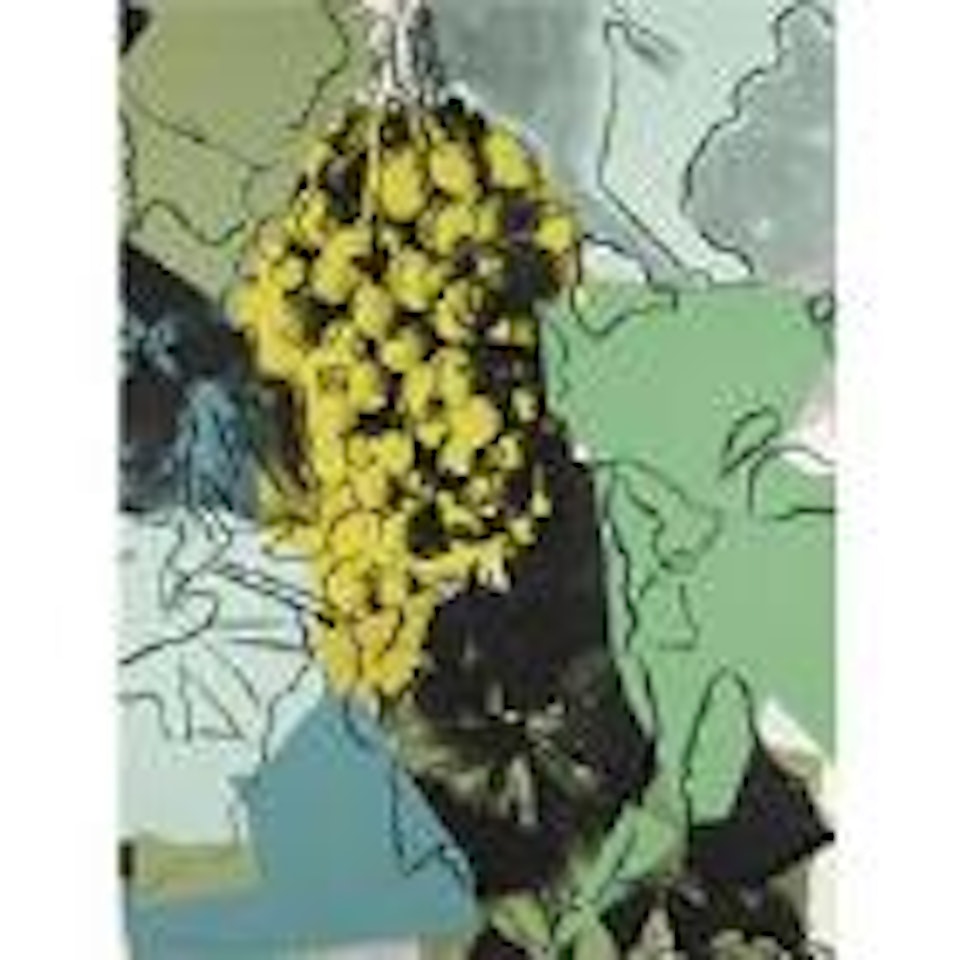 Grapes (F. & S. II. 191) by Andy Warhol