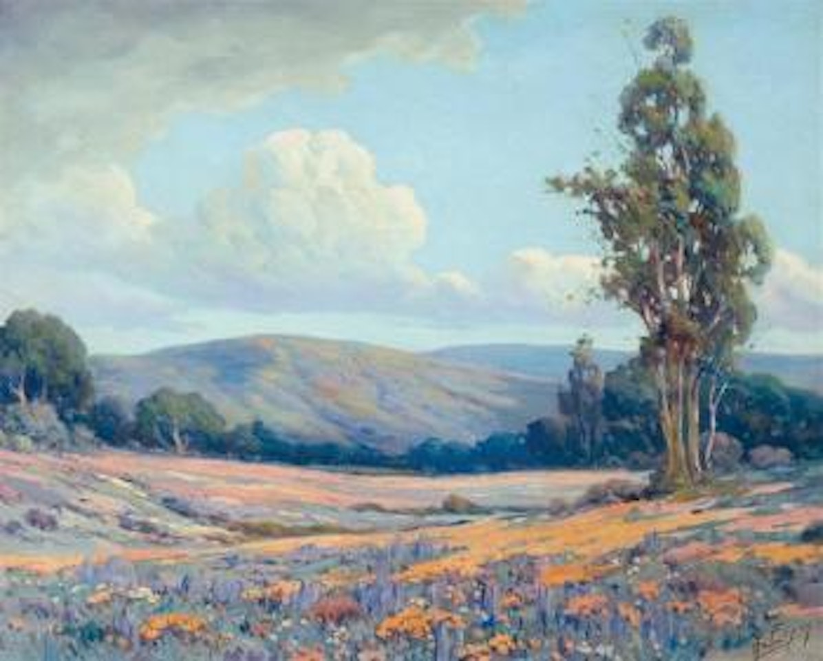 California lupines and poppies by Angel Espoy