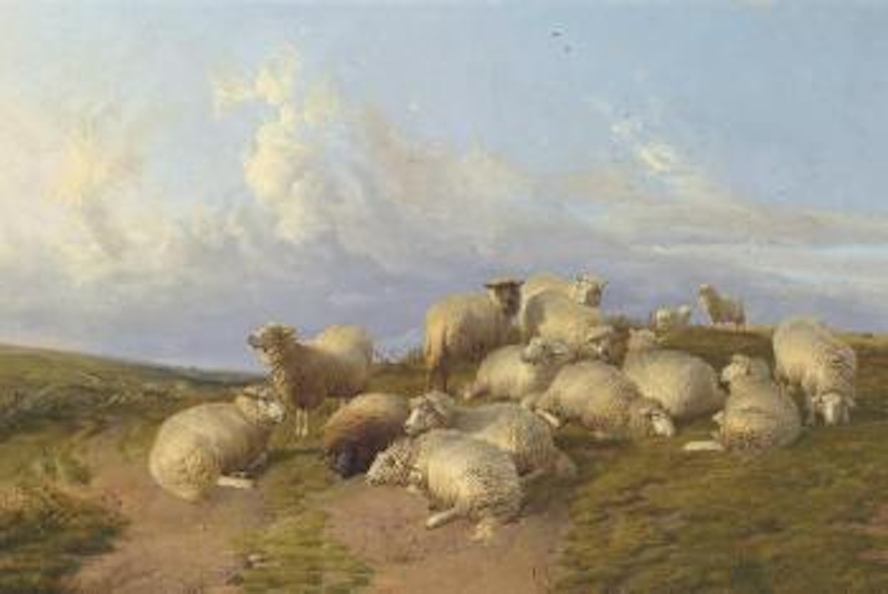 Sheep at Canterbury Meadow by Thomas Sidney Cooper