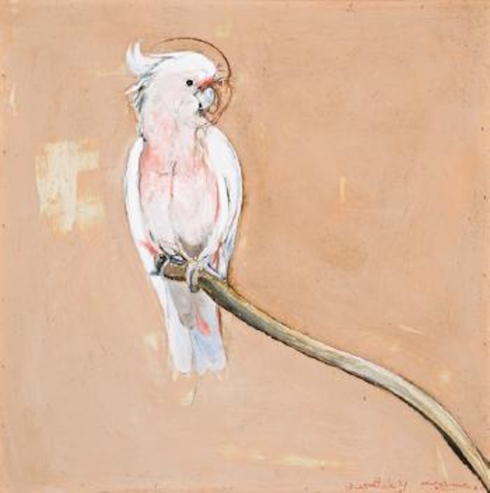 Galah by Brett Whiteley