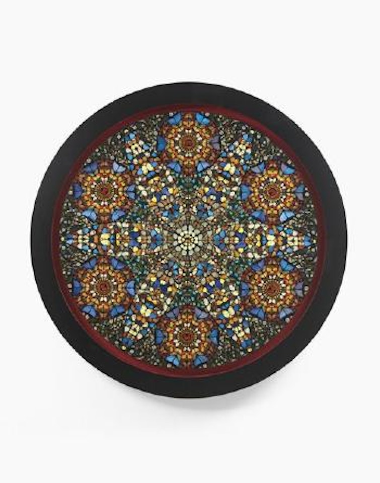 Since the Majority of Me Rejects the Majority of You - Vision by Damien Hirst