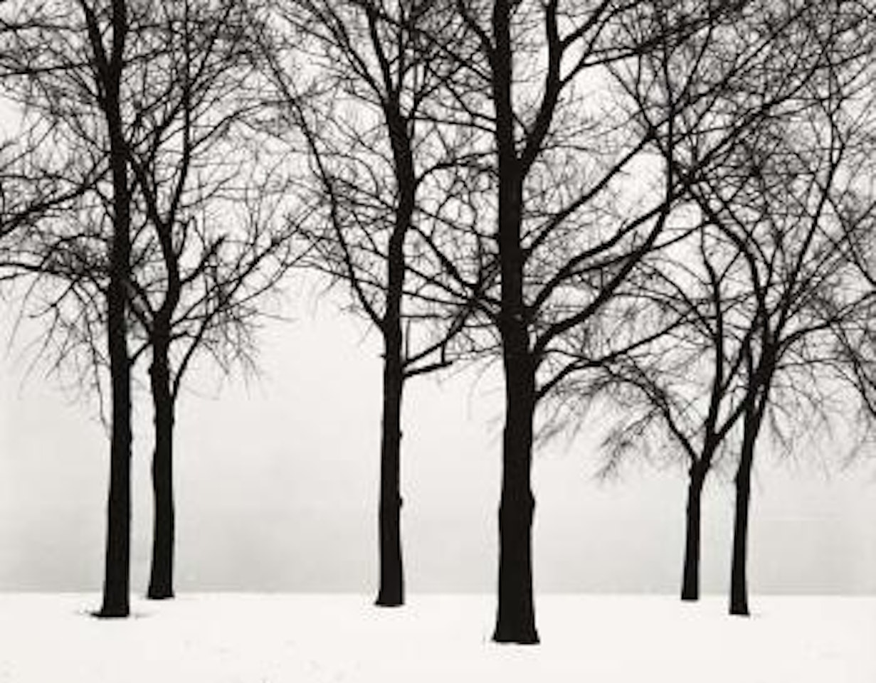 Chicago by Harry Callahan