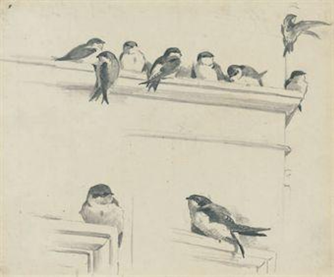 Studies of house martins by Archibald Thorburn