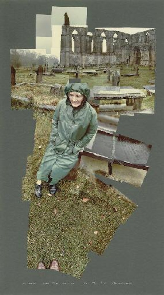 My Mother at Bolton Abbey, Yorkshire, Nov., 1982 by David Hockney