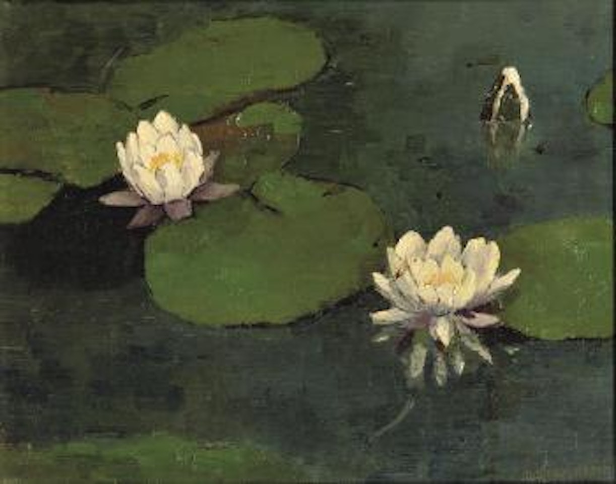 Waterlilies by Dirk Smoorenberg