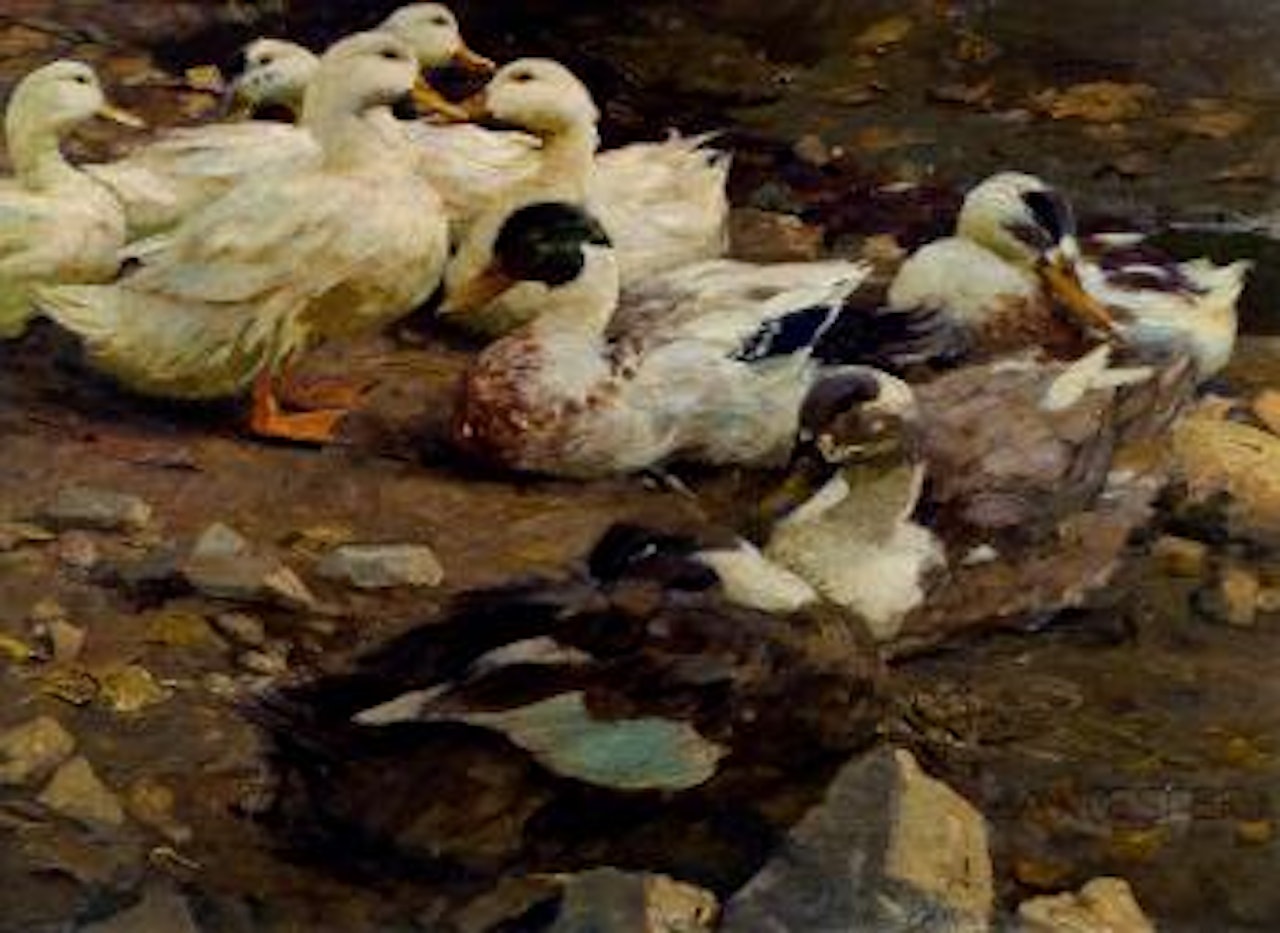 Enten am Teichufer by Alexander Koester