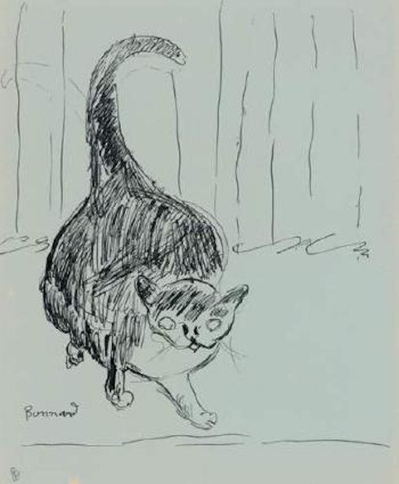 Étude de chatte hérissée, la queue dressée by Pierre Bonnard