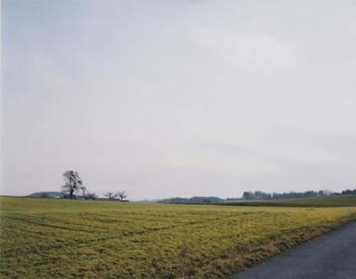 Gelbes Felb, no. 23, Winterthur by Thomas Struth