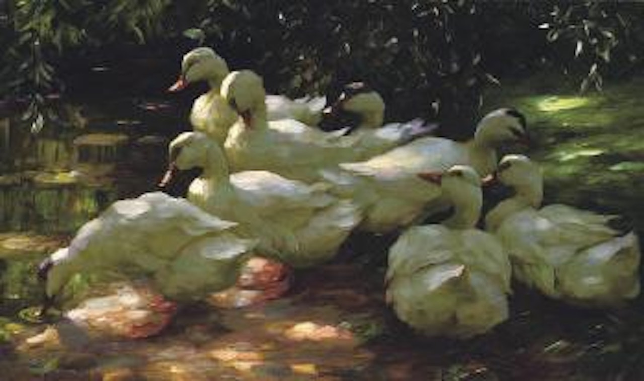 Lagernde Enten by Alexander Koester