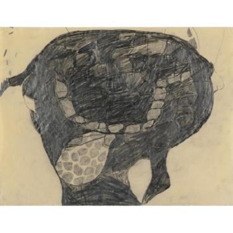 Visan # 15 by Terry Winters
