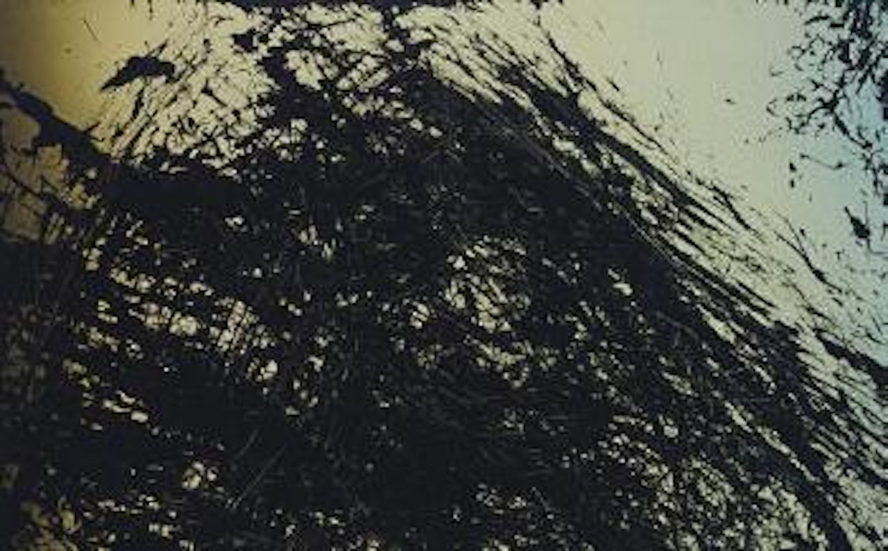 T1980 E32 by Hans Hartung