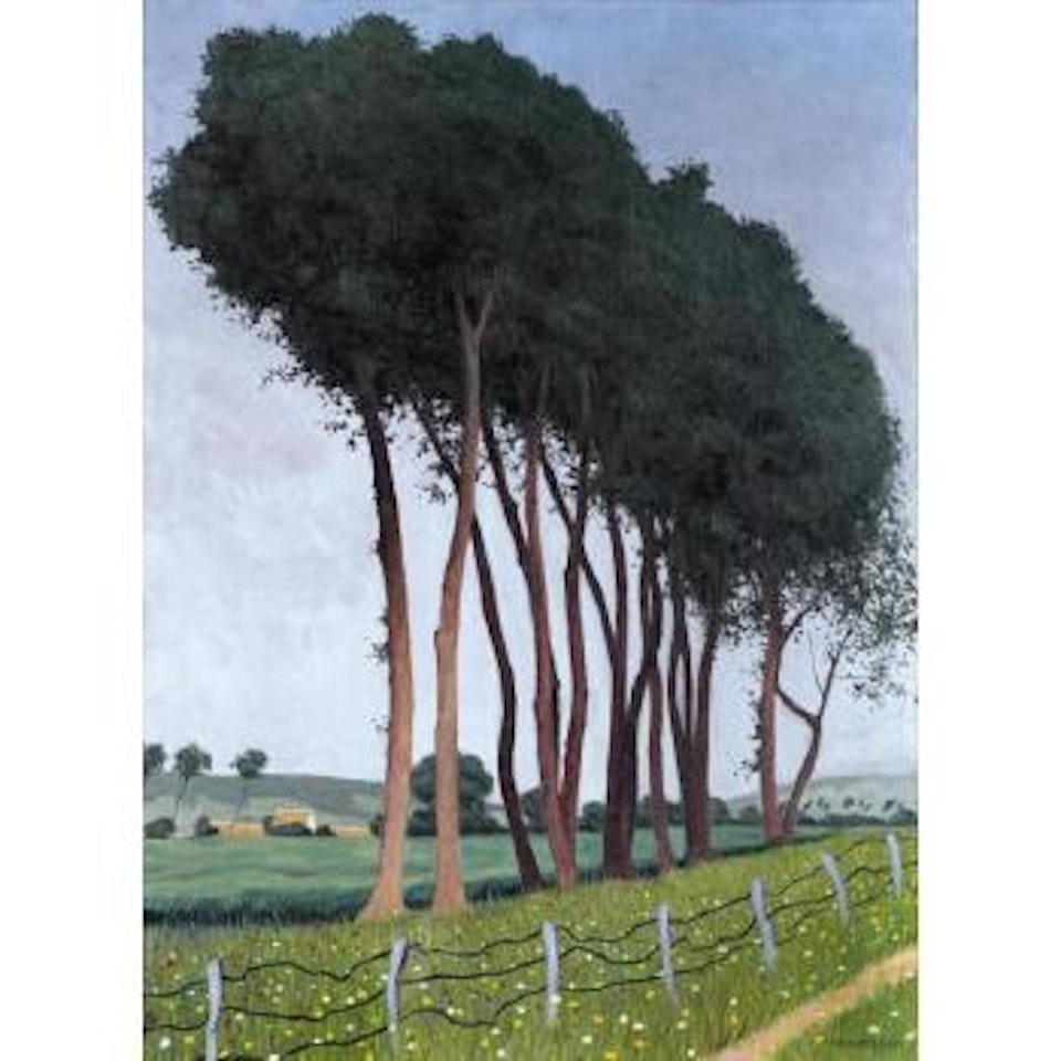 Famille D'arbres by Félix Vallotton