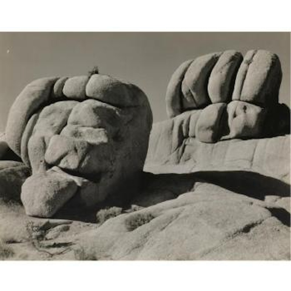 Mojave Desert by Edward Weston