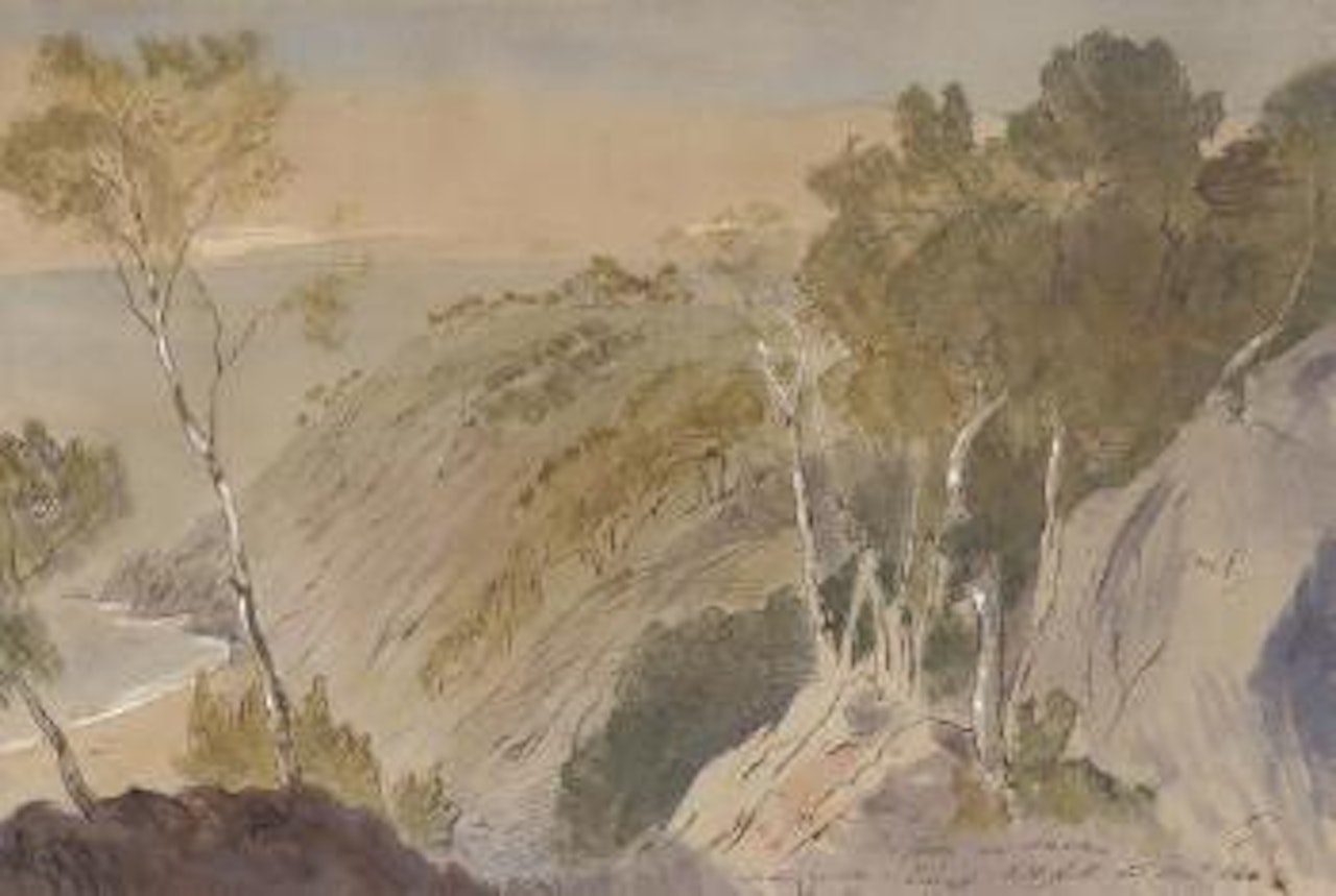 View of a pine forest near Invrea, Italy by Edward Lear