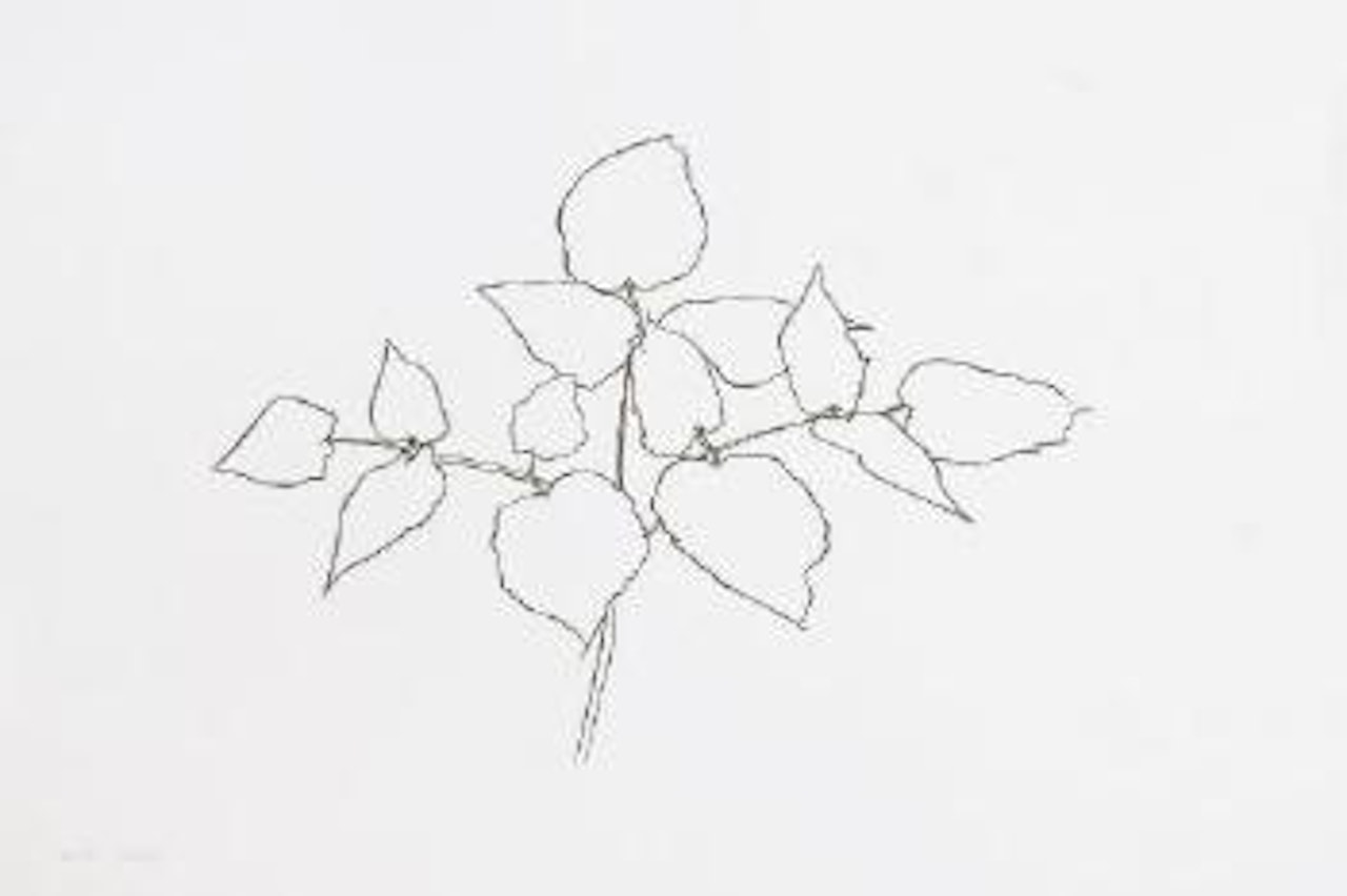 Woodland Plant (A. 178) by Ellsworth Kelly